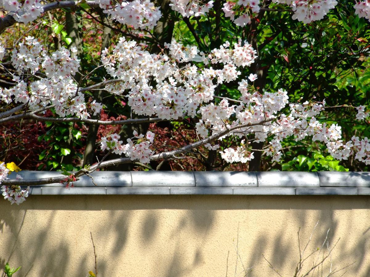 Nonohanatei Komurasaki Hotel Shimoda  Buitenkant foto